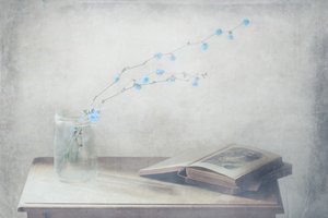 Vintage-Buch und blaue Blumen von Delphine Devos
