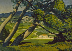 Bäume, Provence, 1912