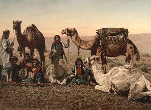 Kamele halten in der Wüste, Heiliges Land, ca. 1890