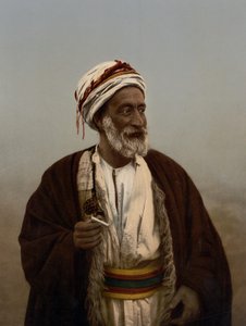 Scheich eines palästinensischen Dorfes, Heiliges Land, ca. 1890-ca. 1900 von Detroit Photographic Co.