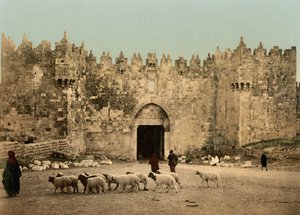 Das Damaskustor, Jerusalem, Heiliges Land, ca. 1890-ca. 1900 von Detroit Photographic Co.