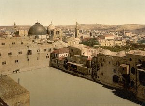 Der Teich von Hiskia, Jerusalem, Heiliges Land, ca. 1890-1900 von Detroit Photographic Co.