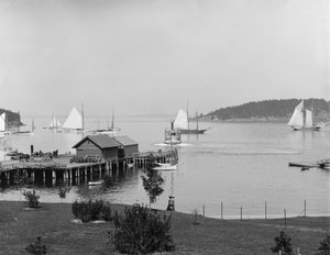 Bar Harbor, Mt. Desert Island, Maine, der Hafen vom Newport House, um 1901 von Detroit Publishing Co.