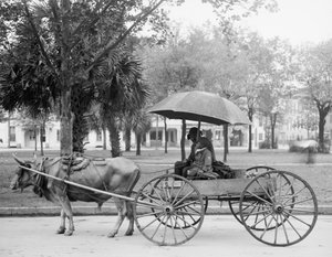 Bovinmobil in Savannah, Georgia