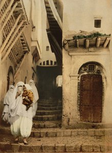 Straße der Kamele, Algier, ca. 1899 (Photochrom) von Detroit Publishing Co.