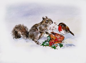 Das Eichhörnchen und das Rotkehlchen