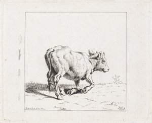 Sich aufrichtendes Kalb von Diederik Jan Singendonck