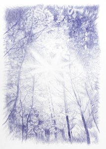 Gegenlicht, 2024 von Diego Beyro