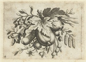 Feston von Früchten (Früchtenbüchlein zum Reisen dienlich)