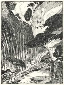 Der dunkle Wald von Dion Clayton Calthrop