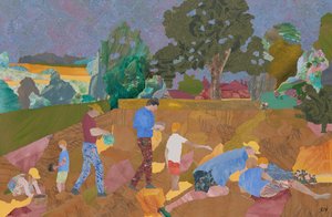 Gelbe Klappertopf-Ernte