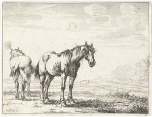 Zwei Pferde in einer Landschaft