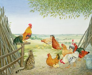 Das Geflügel und die Katze von Ditz
