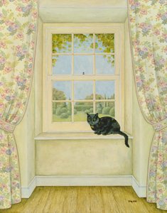 Die Fensterkatze