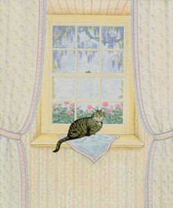 Wisteria-Katze