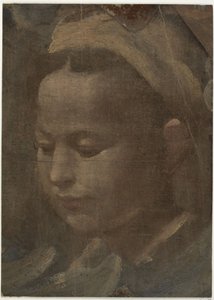 Kopf einer jungen Frau von Domenico Beccafumi