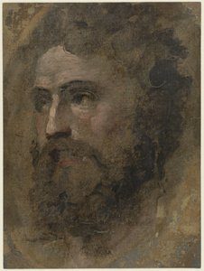 Kopf eines Mannes mit lockigem Haar, nach links von Domenico Beccafumi