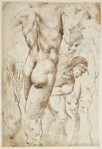 Studien von Beinen und männlichen Akten von Domenico Beccafumi