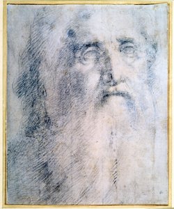 Studie eines alten Mannes mit Bart, ca. 1535 von Domenico Beccafumi