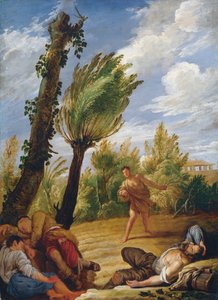 Das Gleichnis vom Weizen und Unkraut von Domenico Fetti