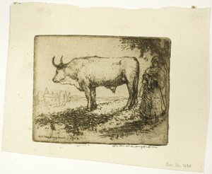 Der weiße Ochse von Donald Shaw MacLaughlan