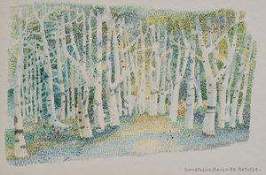 Birkenwald