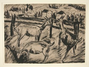 Ziegen und Landschaft