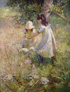 Wilde Blumen pflücken von Dorothea Sharp