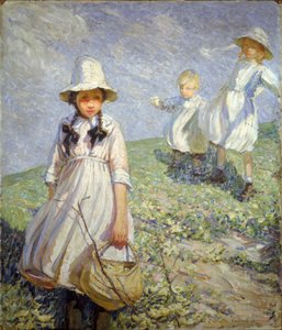 Der Primelweg von Dorothea Sharp