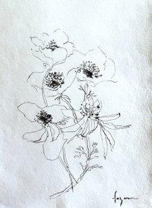Zarte Blumenskizze von Dorothy Fagan
