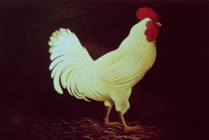 Hahn