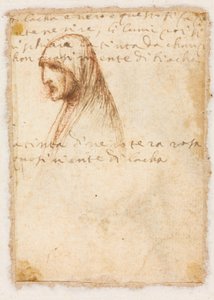 Brustlängsprofil einer alten Frau verso, um 1521 von Dosso Dossi