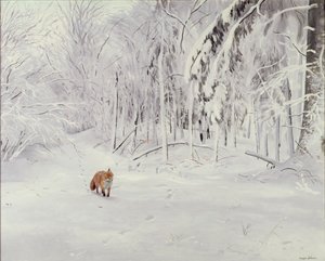 Fuchs im tiefen Schnee