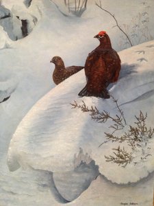 Schneehuhn im Schnee, ca. 1985 von Douglas Anderson