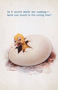 Eiöffnung