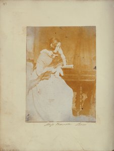Fräulein Brewster