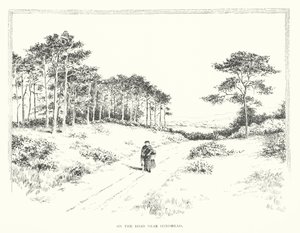 Auf der Straße nahe Hindhead von Duncan Moul