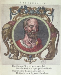 Theophrastos (ca. 372-287 v. Chr.), Illustration aus Veterum et Recentium Medicorum Philosophorumque Icones von Johannes Sambucus (1531-84), veröffentlicht von Plantin in Leyden 1603 (Farbstich) von Dutch School