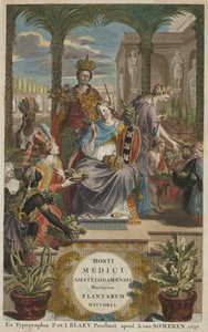 Titelseite aus Horti Medici Amstelodamensis Rariorum Plantarum Historia Band I, von Jan Commelin von Dutch School