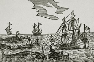 Walfangschiffe aus Jacob Segersz van der Brugges 