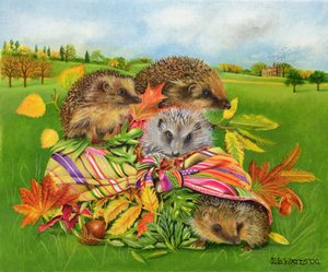 Igel im Schal, 2000
