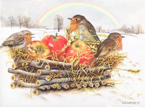 Rotkehlchen mit Äpfeln, 1997