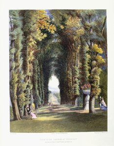 Aussicht in den Gärten von Teddesley, Sitz des ehrenwerten Lord Hatherton, 1857 von E. Adveno Brooke