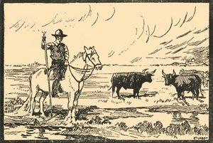 Landschaft von Camargue