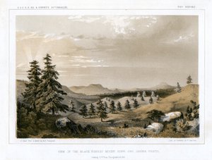 Der Schwarzwald Mount Hope und Sierra Prieta, USA, 1856