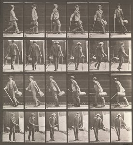 Tierlokomotion. Eine elektro-fotografische Untersuchung... von Tierbewegungen. Beginn..., 1880er Jahre