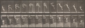Tierbewegung. Eine elektro-fotografische Untersuchung aufeinanderfolgender Phasen von Tieren, 1880er Jahre von Eadweard Muybridge