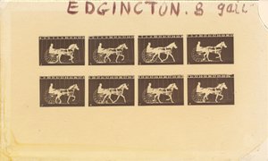 Internegativ für Pferde. Trabend. Abe Edgington. Nr. 28, 1878 von Eadweard Muybridge