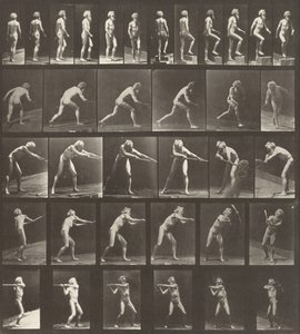 Tafel Nummer 521. A: Gehen. B: Eine Stufe hinaufsteigen. C: Den Diskus werfen. D: Eine Schaufel benutzen..., 1887 von Eadweard Muybridge