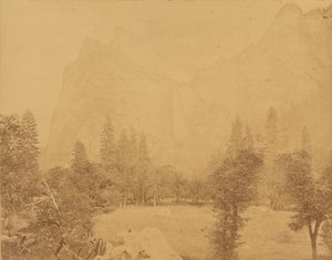 Pohona. Tal des Yosemite von Eadweard J. Muybridge